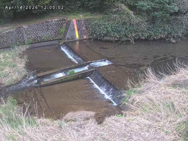 志村川１2026/04/14 17:10:00