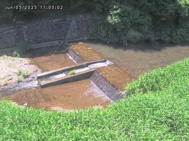 志村川１2025/06/06 1:30:00