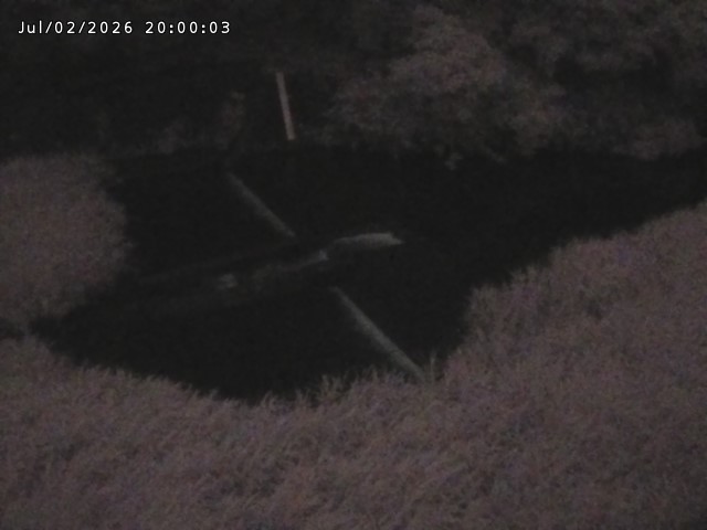 志村川１2026/07/03 8:30:00
