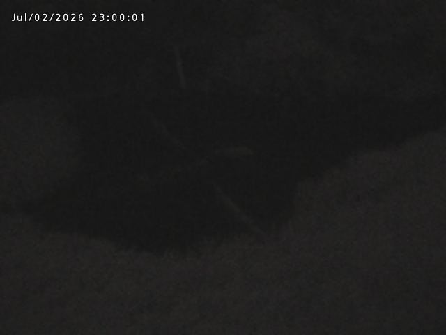 志村川１2026/07/03 8:30:00