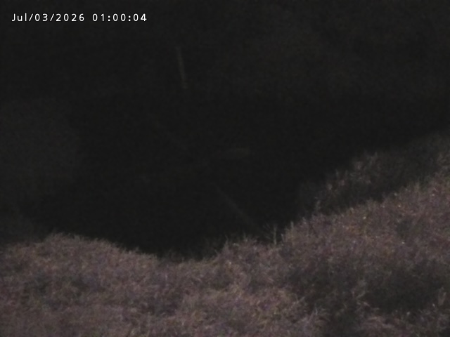 志村川１2026/07/03 8:30:00