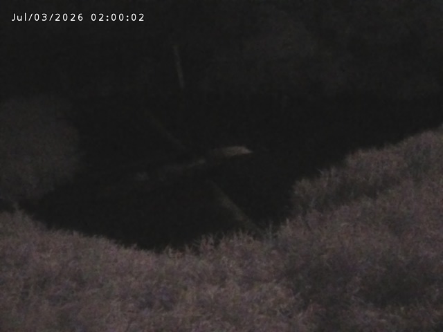 志村川１2026/07/03 8:30:00