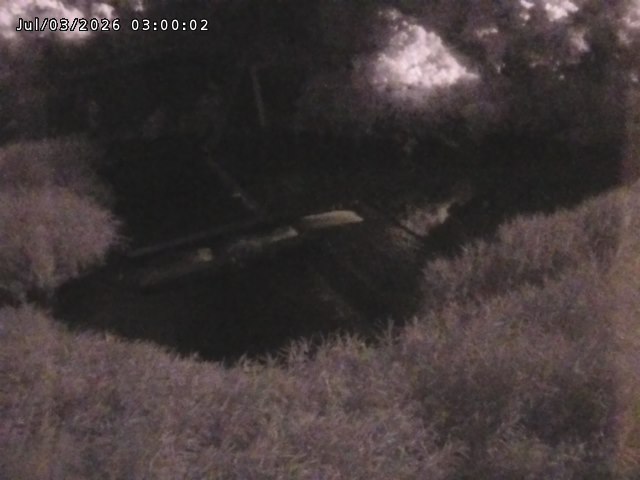 志村川１2026/07/03 8:30:00