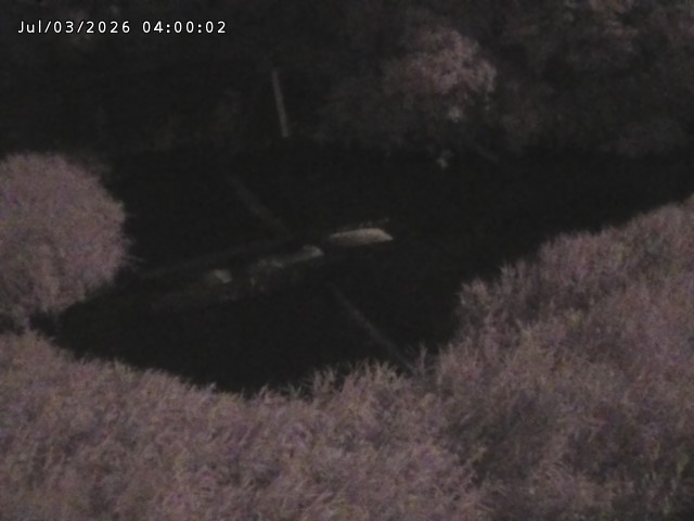 志村川１2026/07/03 8:30:00
