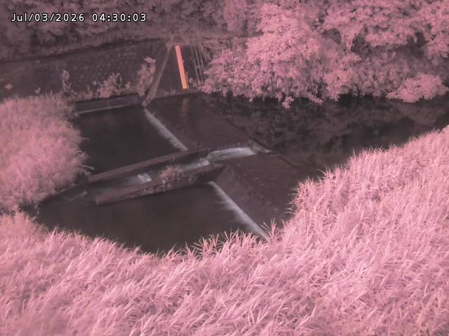 志村川１2026/07/03 8:30:00
