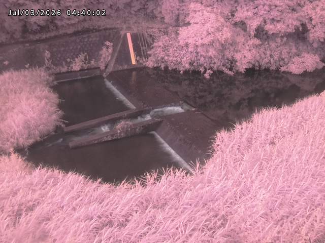 志村川１2026/07/03 8:30:00