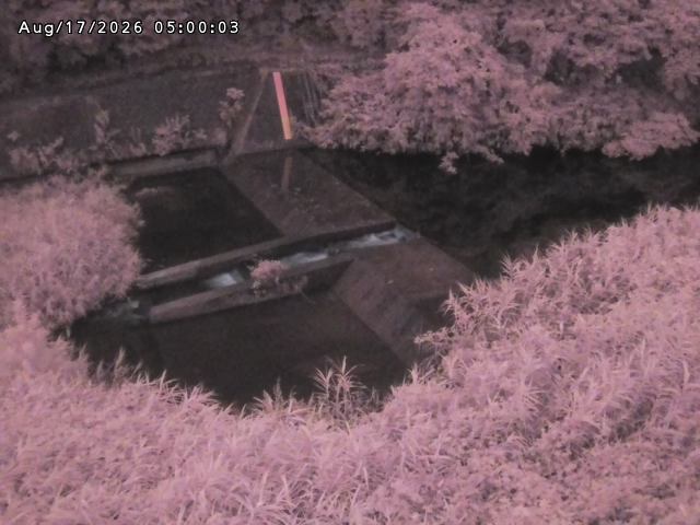 志村川１2026/08/17 20:40:00