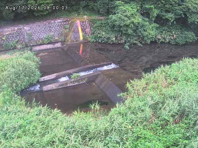 志村川１2026/08/17 20:40:00