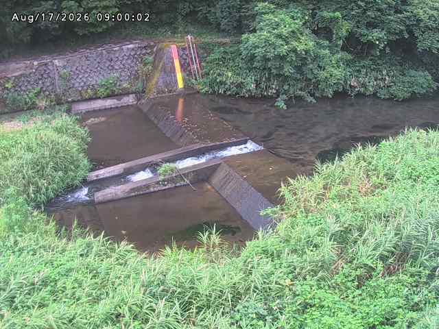 志村川１2026/08/17 20:40:00