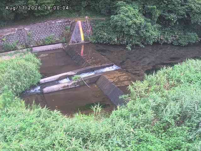 志村川１2026/08/17 20:40:00