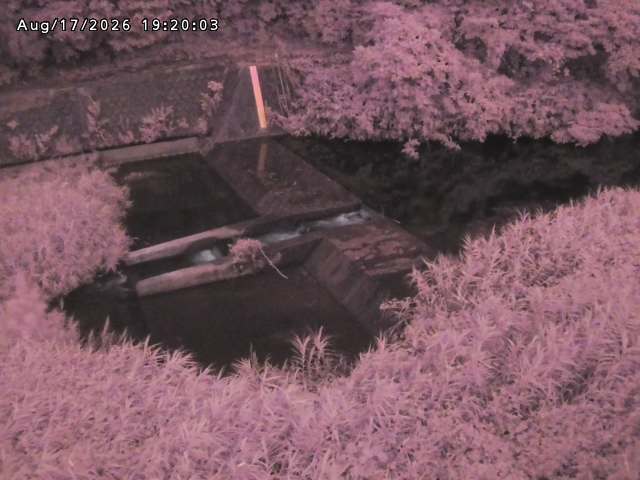 志村川１2026/08/17 20:40:00