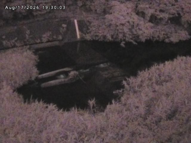 志村川１2026/08/17 20:40:00