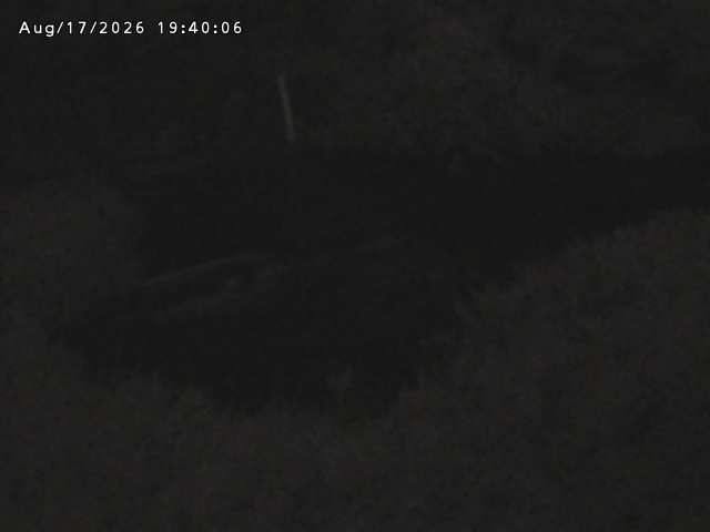 志村川１2026/08/17 20:40:00