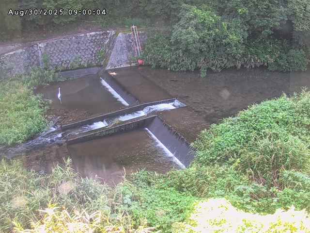 志村川１2025/08/31 9:30:00