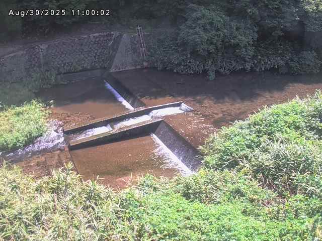 志村川１2025/08/31 9:30:00