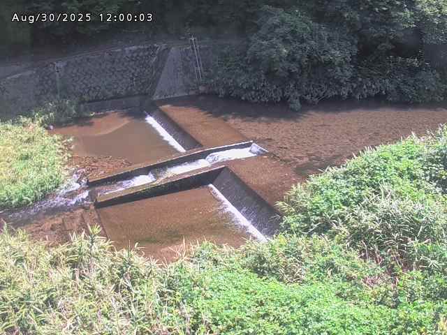 志村川１2025/08/31 9:30:00