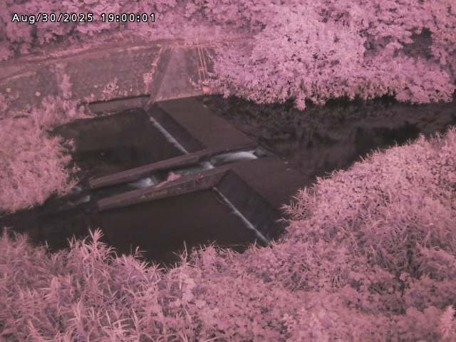志村川１2025/08/31 9:30:00