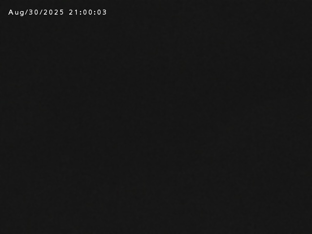 志村川１2025/08/31 9:30:00