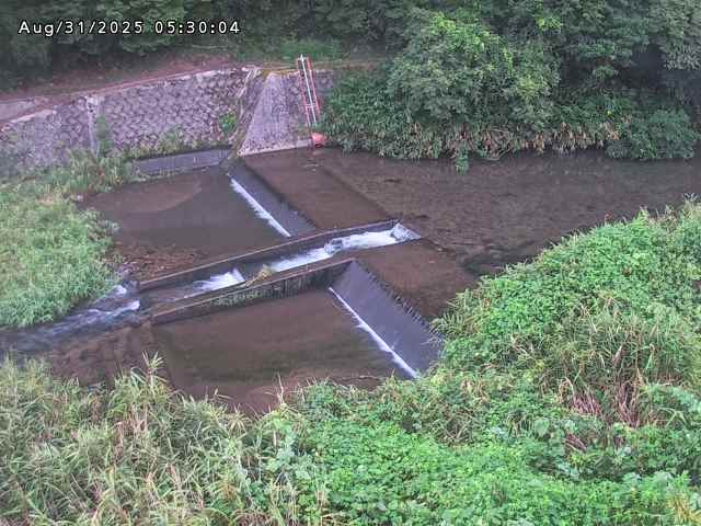 志村川１2025/08/31 9:30:00