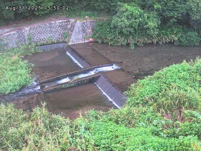 志村川１2025/08/31 9:30:00