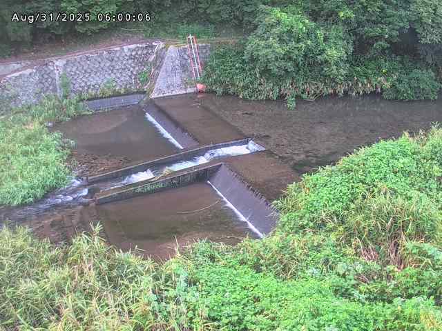 志村川１2025/08/31 9:30:00