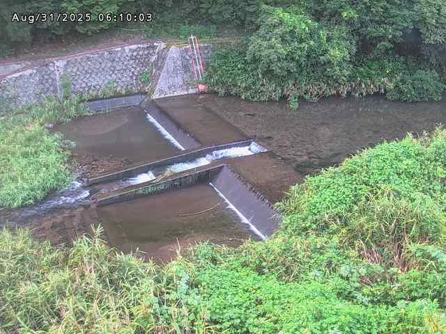 志村川１2025/08/31 9:30:00