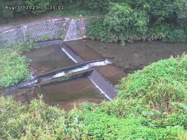 志村川１2025/08/31 9:30:00