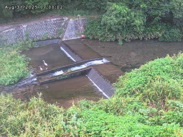 志村川１2025/08/31 9:30:00