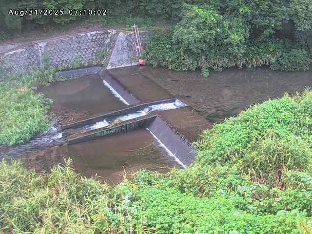 志村川１2025/08/31 9:30:00