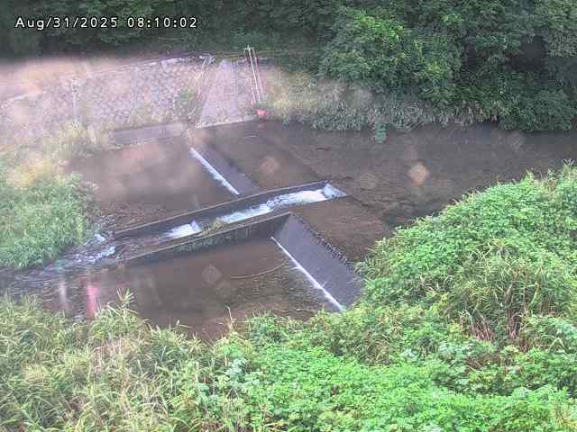志村川１2025/08/31 9:30:00