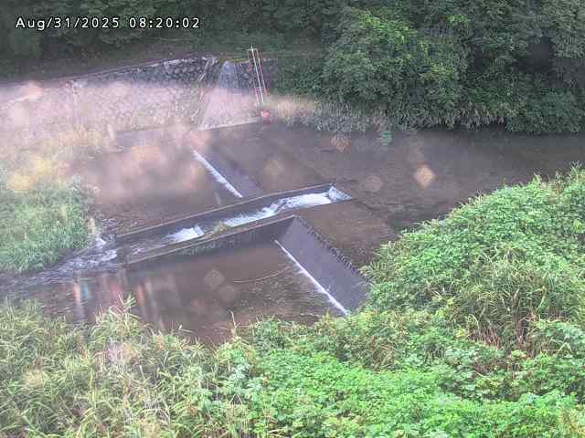 志村川１2025/08/31 9:30:00