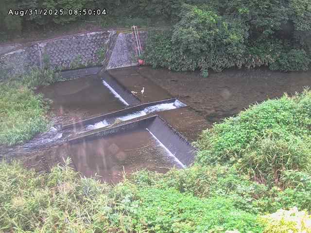 志村川１2025/08/31 9:30:00