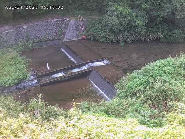 志村川１2025/08/31 9:30:00