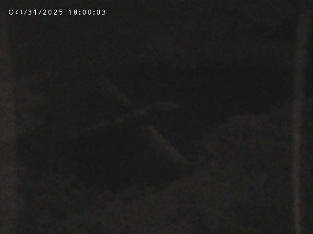 志村川12025/11/01 0:00:00