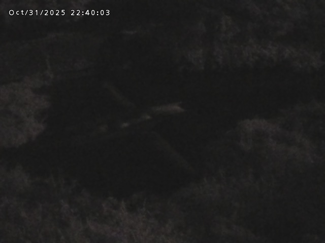 志村川12025/11/01 0:00:00