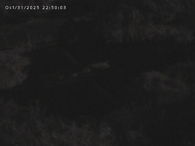 志村川12025/11/01 0:00:00