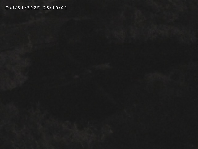 志村川12025/11/01 0:00:00