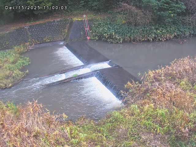 志村川１2025/12/16 8:50:00