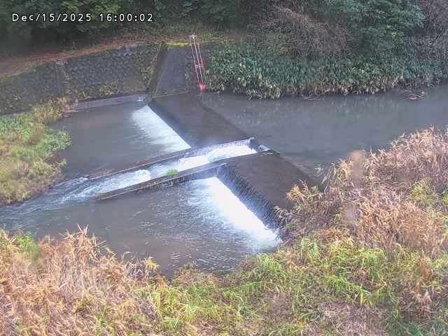 志村川１2025/12/16 8:50:00