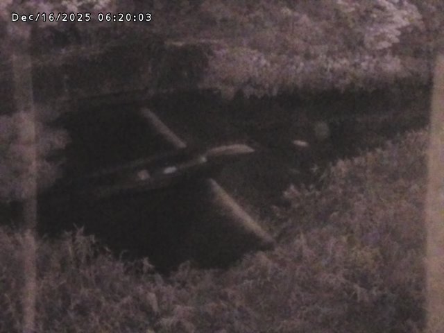 志村川１2025/12/16 8:50:00