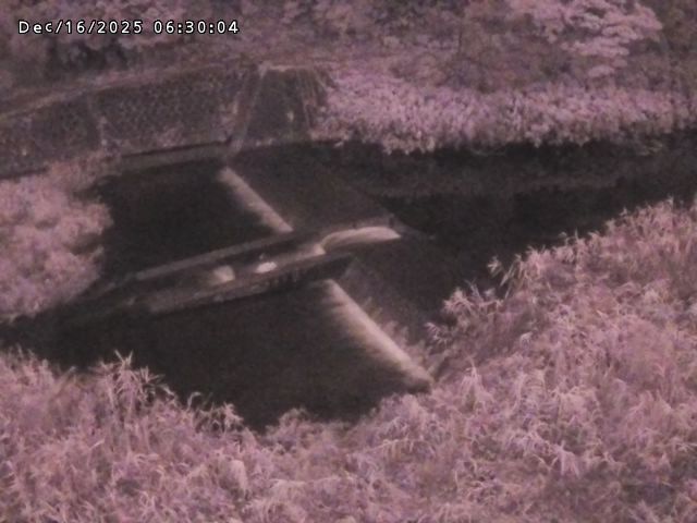 志村川１2025/12/16 8:50:00