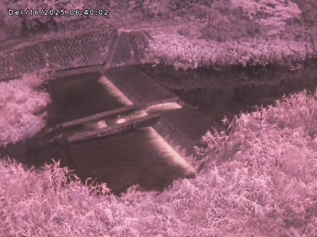 志村川１2025/12/16 8:50:00