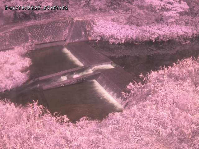 志村川１2025/12/16 8:50:00