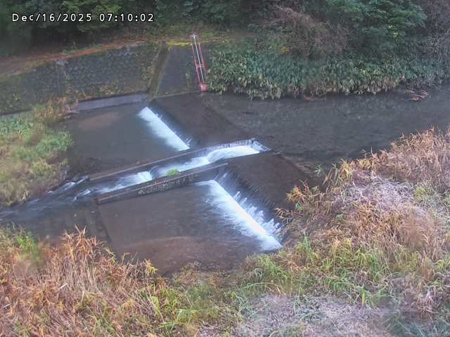 志村川１2025/12/16 8:50:00