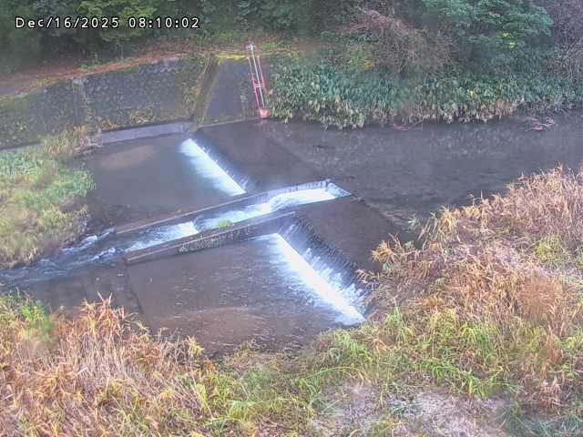 志村川１2025/12/16 8:50:00