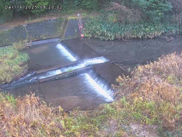 志村川１2025/12/16 8:50:00