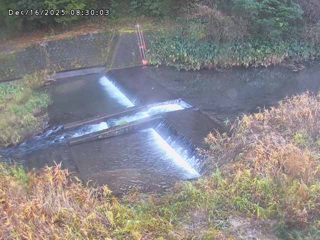 志村川１2025/12/16 8:50:00