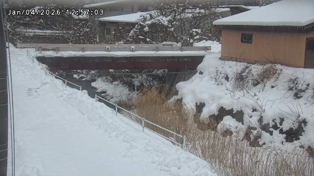 湯河川１2026/01/05 11:30:00