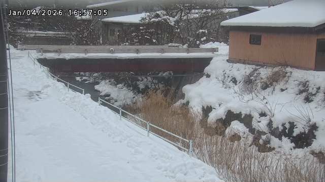 湯河川１2026/01/05 11:30:00