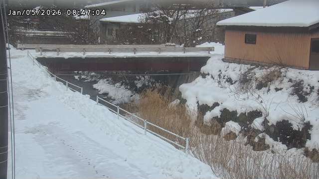 湯河川１2026/01/05 11:30:00